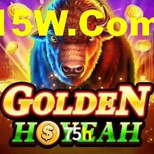Premium Interface 75h